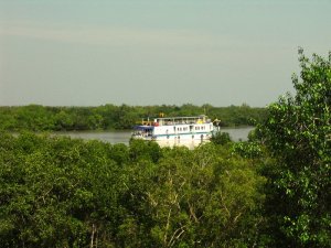 Traveling in Sundarbans